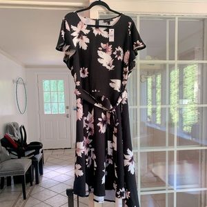Lane Bryant 20W Black/Mauve